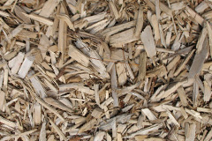 biomass boilers Crulabhig